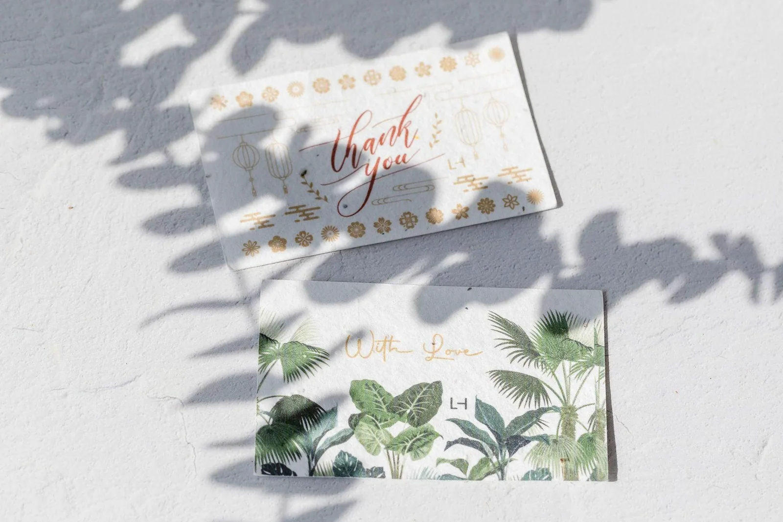 BĪJ seed-paper greeting cards in dappled leaf shadow