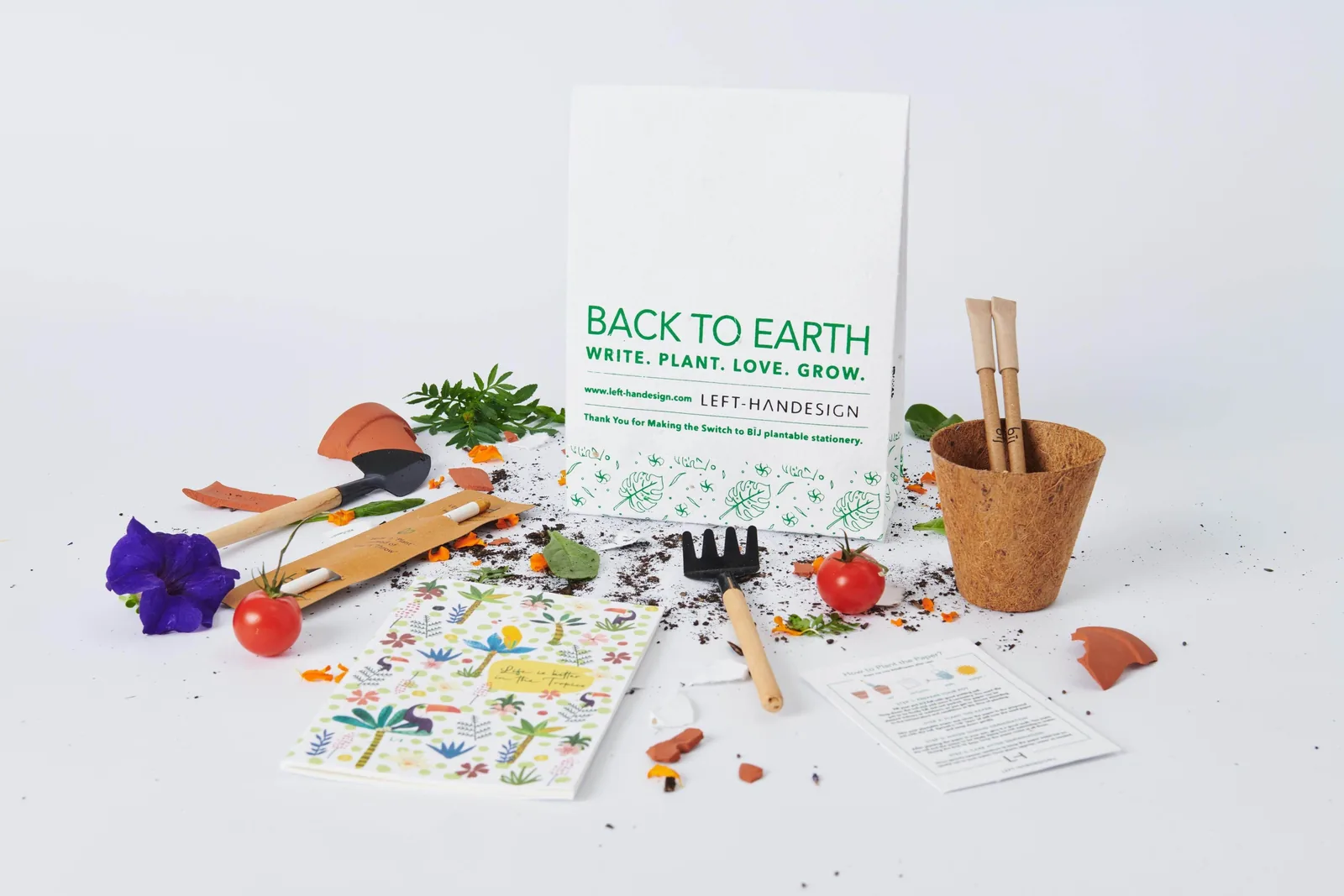 Back to Earth gift set with plantable pencils, seed paper and a small terracotta pot