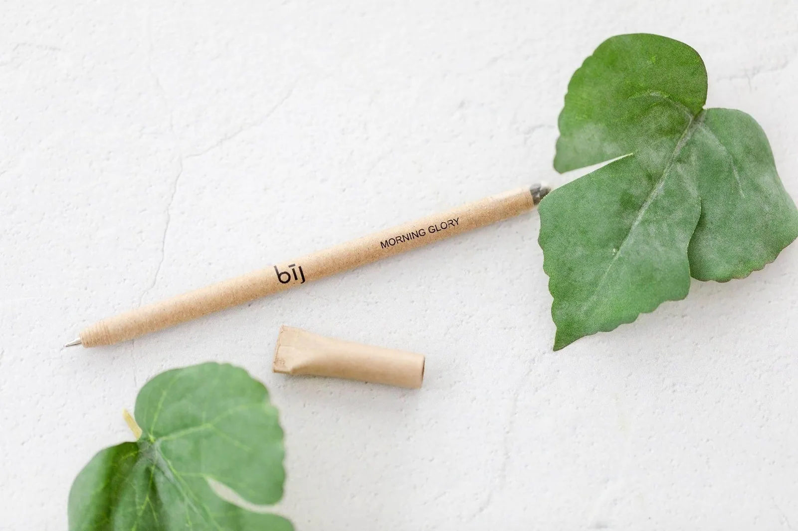 A new BĪJ pen with its seed capsule beside a leaf