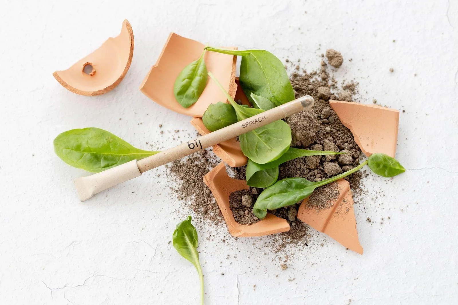 BĪJ plantable pens with spinach seed capsules beside fresh spinach leaves